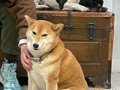 -小时光咖啡馆(北锣鼓巷店)