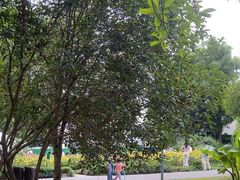 -东湖落雁景区