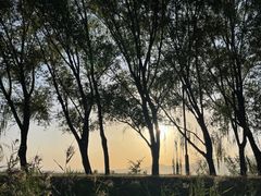 -野鸭湖国家湿地公园