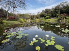 -云溪植物园