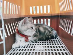 -总动员动物医院(宝丰院店)