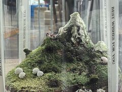 -王森咖啡西点烘焙培训(上海名厨中心店)