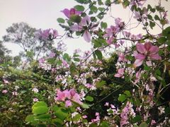 -香港会议展览中心演讲厅