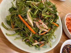 拌水芹菜-善女酱汤馆