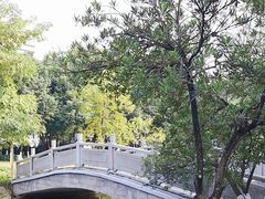 -映月湖公园