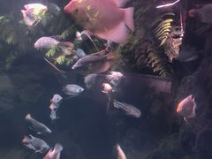 -南昌海洋公园