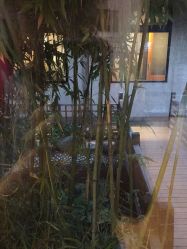 点击看大图 -爱儿美儿童摄影(朝阳公园店)