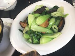 -河畔春天时尚餐厅