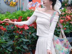-荷兰花海