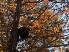 -羊亭河湿地公园