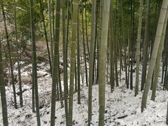 -安吉龙王山风景区