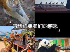 -西霞口神雕山野生动物世界