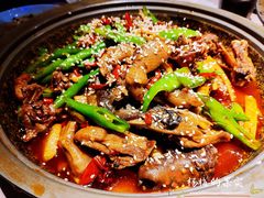 -猫头婴小酒馆FUN OWL(1912店)