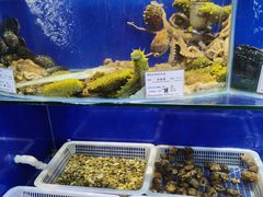 水产区-喜乐餐厅•灯笼虾球首创者•本地小海鲜(二马路店)
