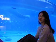 -烟台海昌鲸鲨海洋公园