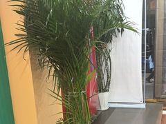 -西域美食(西直门南小街店)
