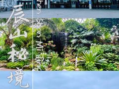 -上海辰山植物园