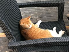 -厦门良筑精品酒店(厦门中山路店)