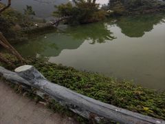 -靖西鹅泉风景区