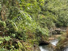 -遂昌金矿国家矿山公园