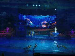 -海合安武汉极地海洋公园