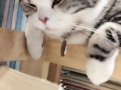 -小时光咖啡馆(开森度假森林店)