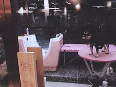 -FAELING PETS美天灵宠物(富力广场店)