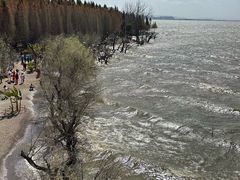 -捞渔河湿地公园