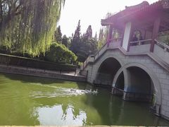 -团结湖公园