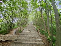 -紫金山山顶公园