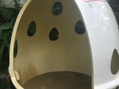 -100蛋泥浆浴