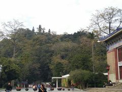 景点-广州中山纪念堂