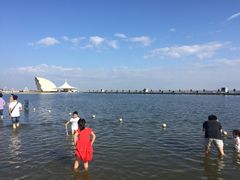 -碧海金沙