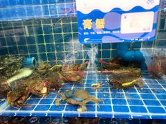 -大厨的餐厅(曾厝垵总店)