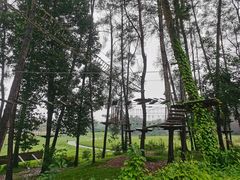 -保利石象湖景区