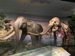 -湖南省地质博物馆