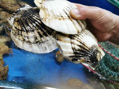 -张树军海鲜(王府壹号店)