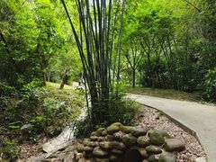 -广州市白云山风景名胜区