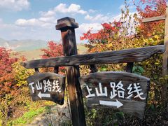 -龙道沟景区