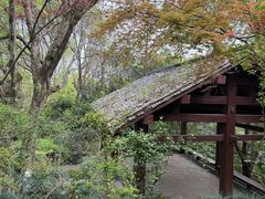 -杭州半山国家森林公园