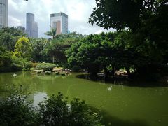 -九龙公园