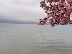 -丽江泸沽湖景区