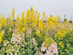 -中国天府农业博览园