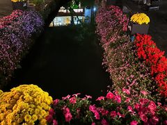 -和顺古镇