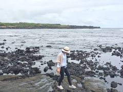 -夏威夷火山国家公园