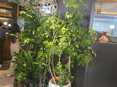 -西堤牛排(北京国瑞店)