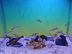 -海合安青岛极地海洋公园