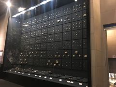 -北京周口店北京人遗址博物馆
