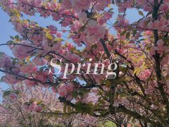 -白塘生态植物园
