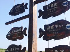 -北海金海湾红树林生态旅游区